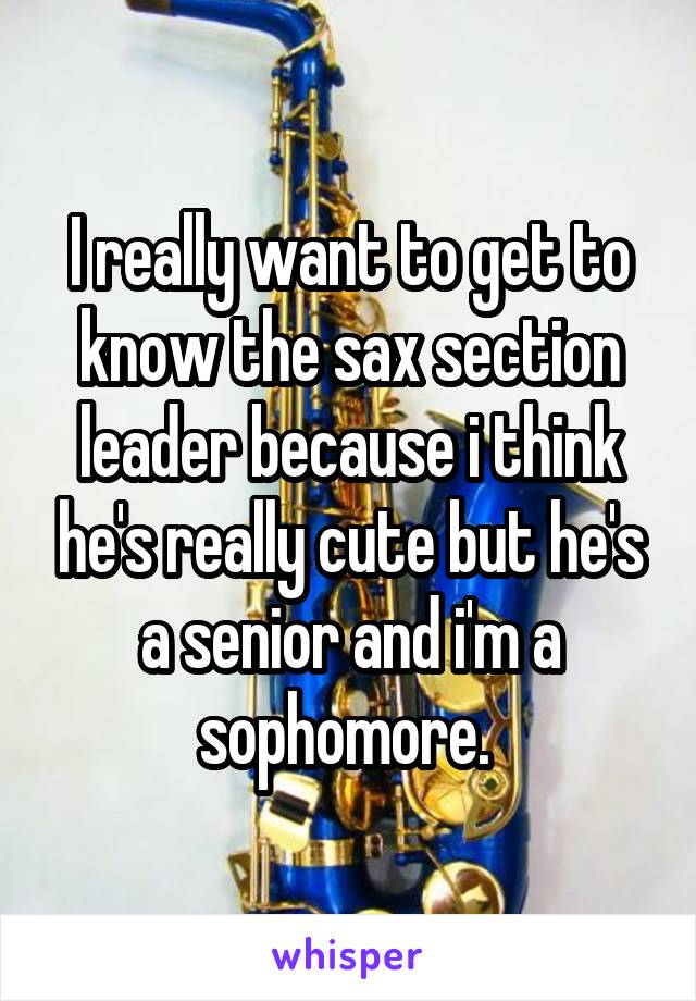 I really want to get to know the sax section leader because i think he's really cute but he's a senior and i'm a sophomore. 