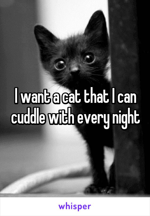 I want a cat that I can cuddle with every night