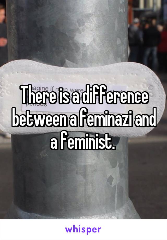 There is a difference between a feminazi and a feminist. 