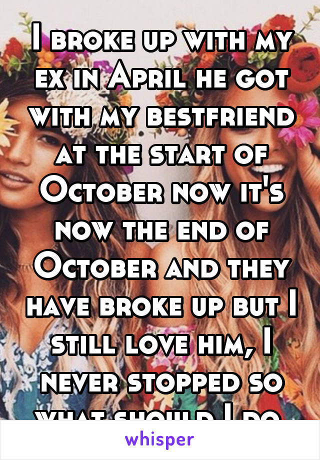 I broke up with my ex in April he got with my bestfriend at the start of October now it's now the end of October and they have broke up but I still love him, I never stopped so what should I do 
