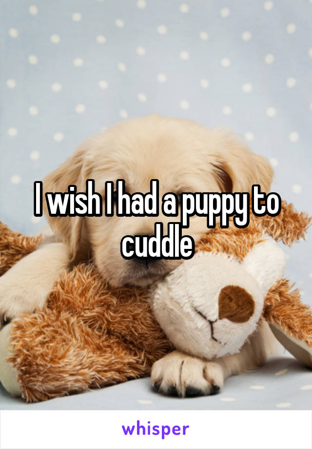 I wish I had a puppy to cuddle