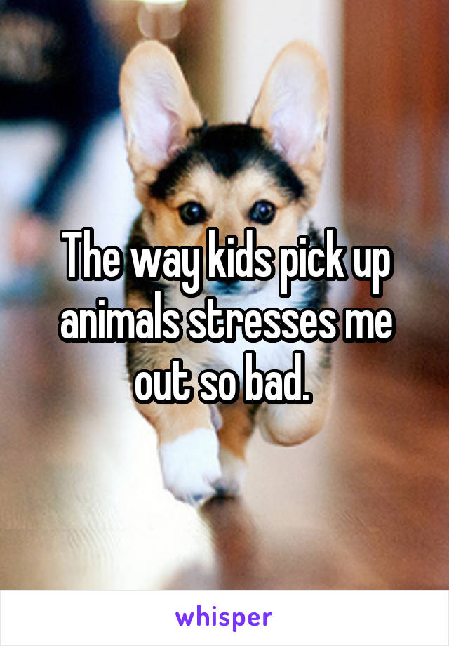 The way kids pick up animals stresses me out so bad. 