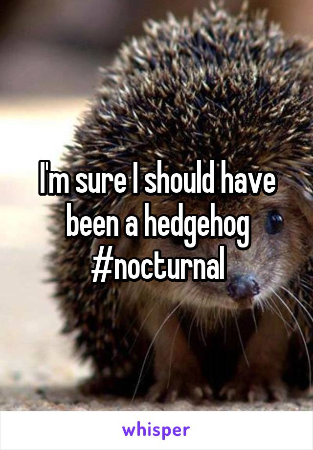 I'm sure I should have been a hedgehog
#nocturnal