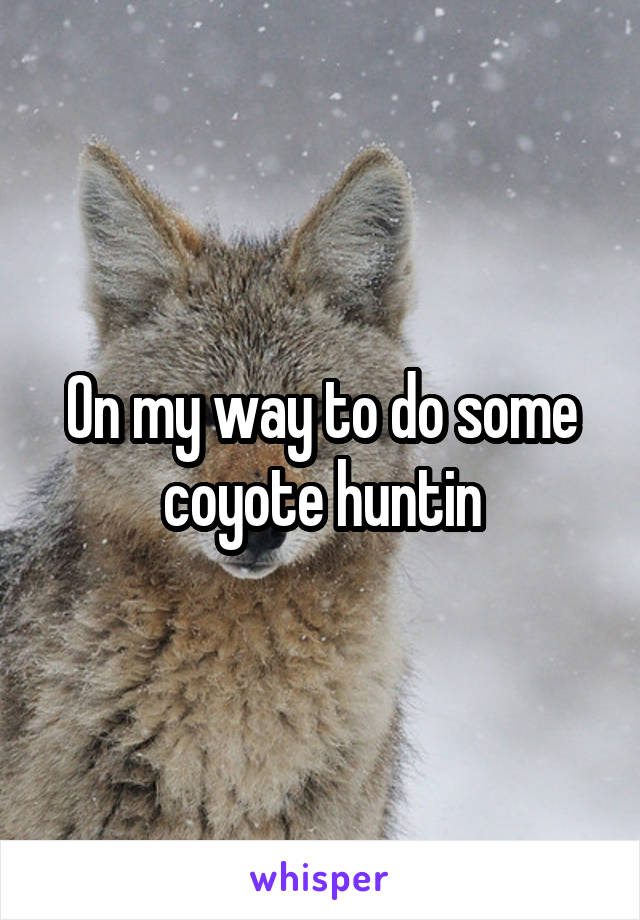 On my way to do some coyote huntin