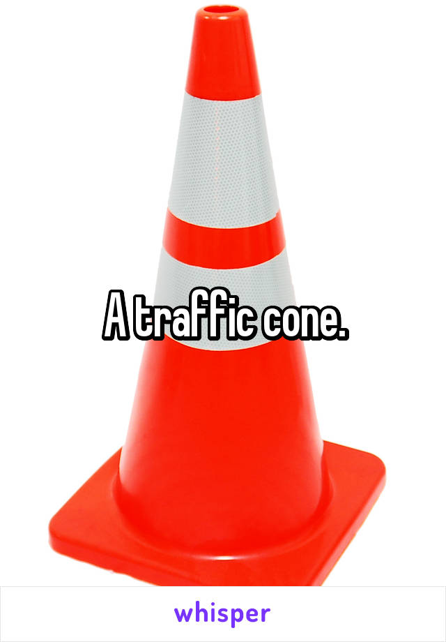 A traffic cone.