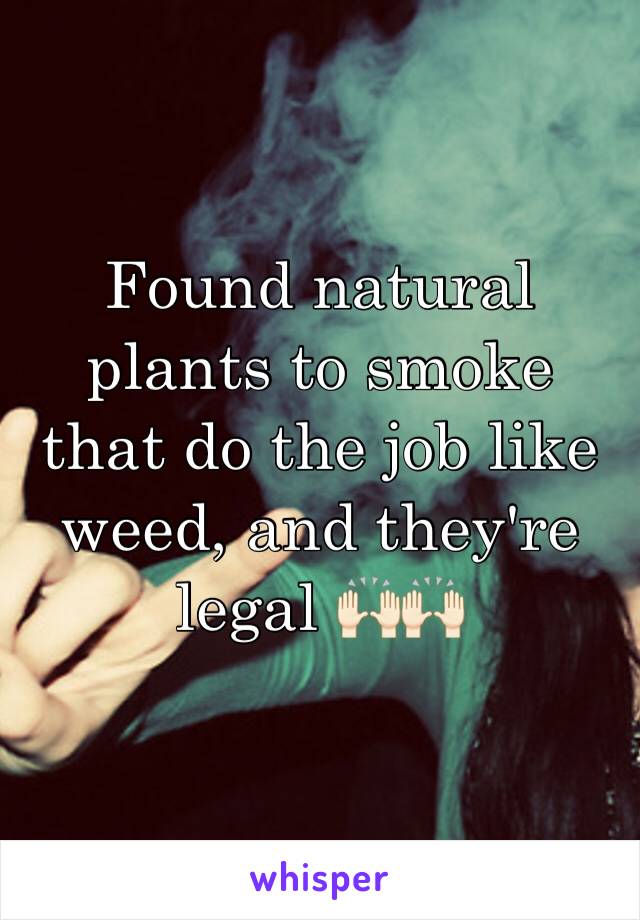 Found natural plants to smoke that do the job like weed, and they're legal 🙌🏻🙌🏻