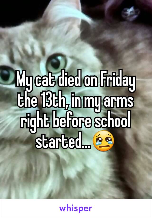 My cat died on Friday the 13th, in my arms right before school started...😢