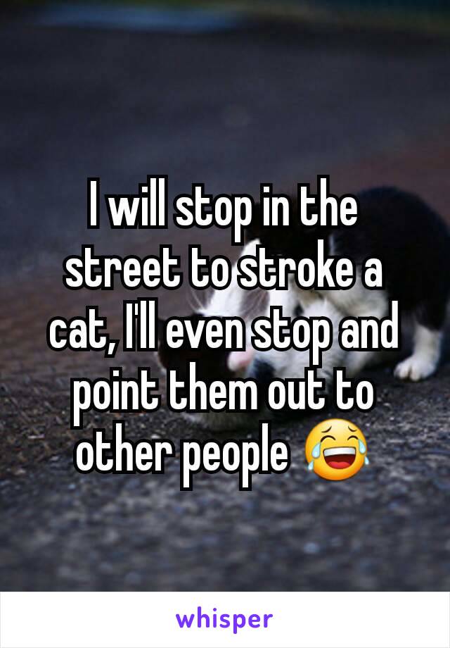 I will stop in the street to stroke a cat, I'll even stop and point them out to other people 😂