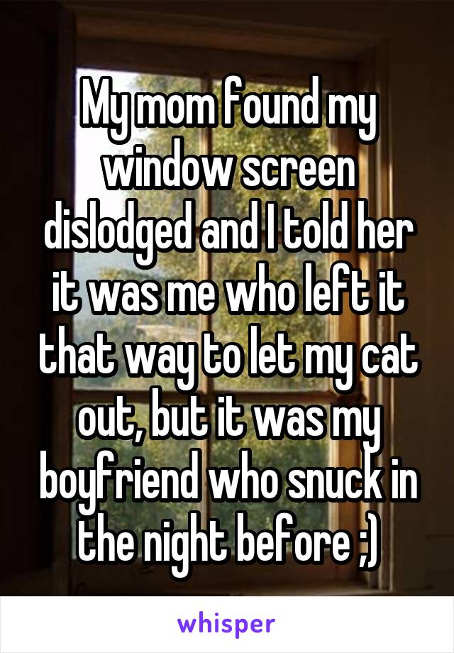 My mom found my window screen dislodged and I told her it was me who left it that way to let my cat out, but it was my boyfriend who snuck in the night before ;)