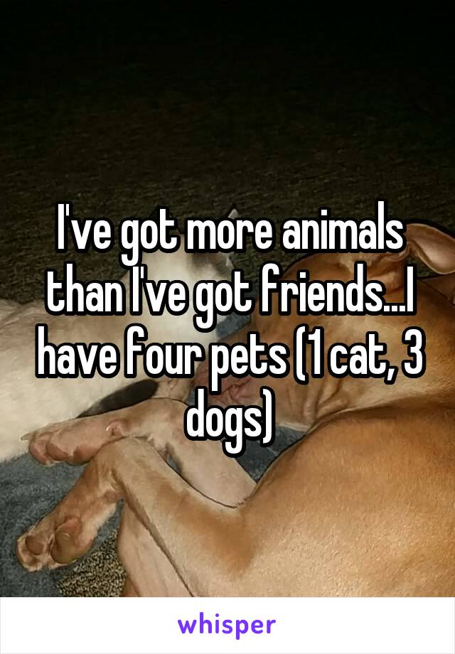 I've got more animals than I've got friends...I have four pets (1 cat, 3 dogs)