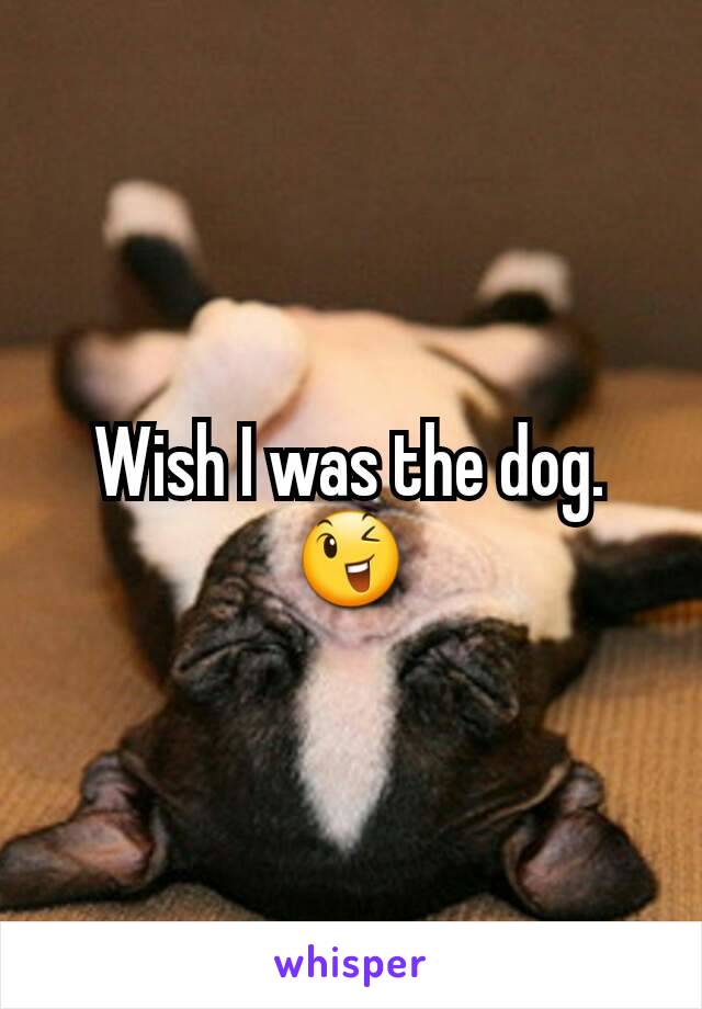 Wish I was the dog.
😉