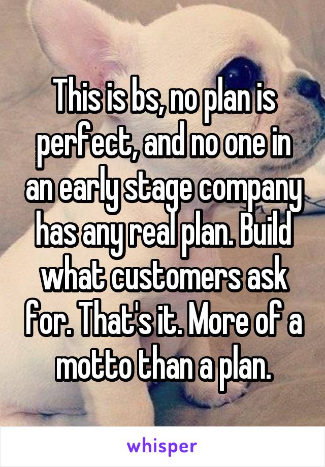 This is bs, no plan is perfect, and no one in an early stage company has any real plan. Build what customers ask for. That's it. More of a motto than a plan.