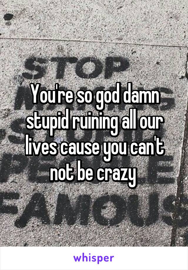 You're so god damn stupid ruining all our lives cause you can't not be crazy 