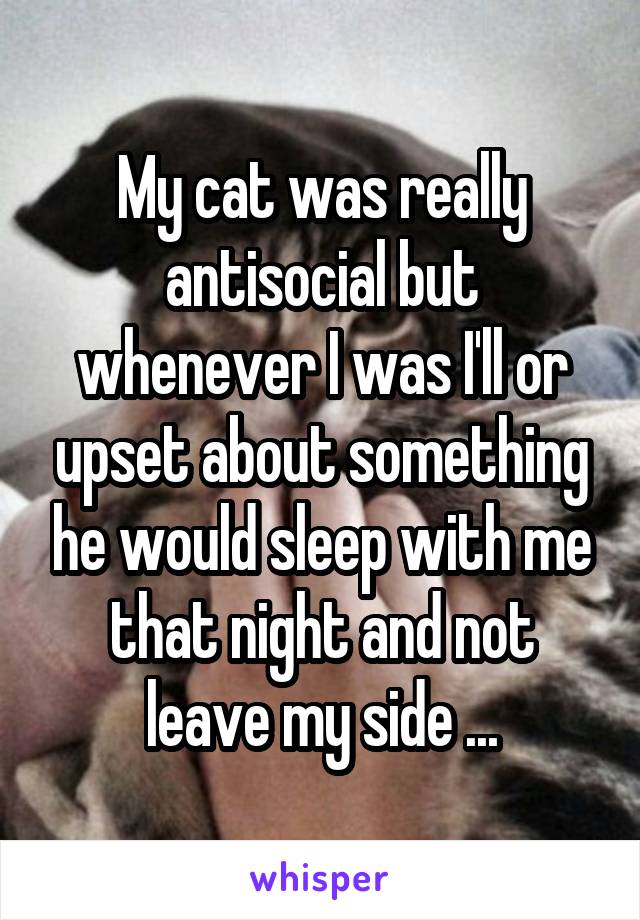 My cat was really antisocial but whenever I was I'll or upset about something he would sleep with me that night and not leave my side ...