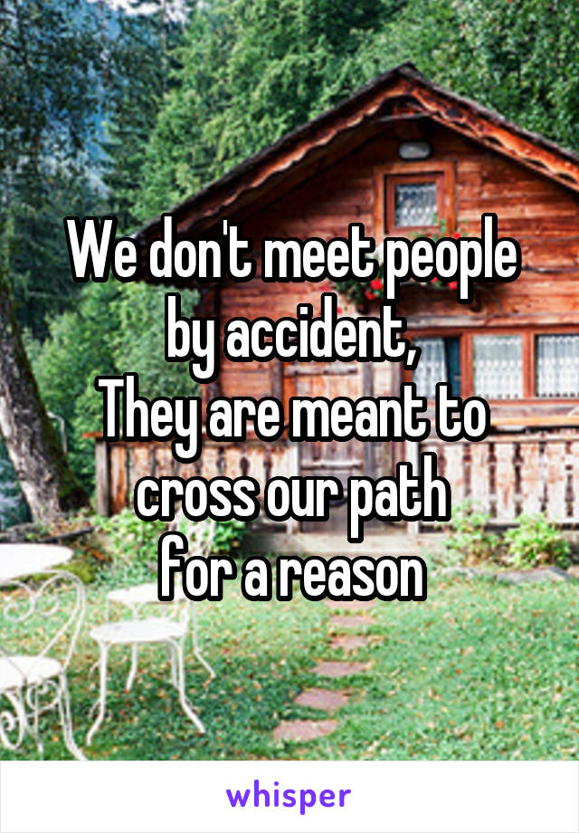 We don't meet people by accident,
They are meant to cross our path
for a reason