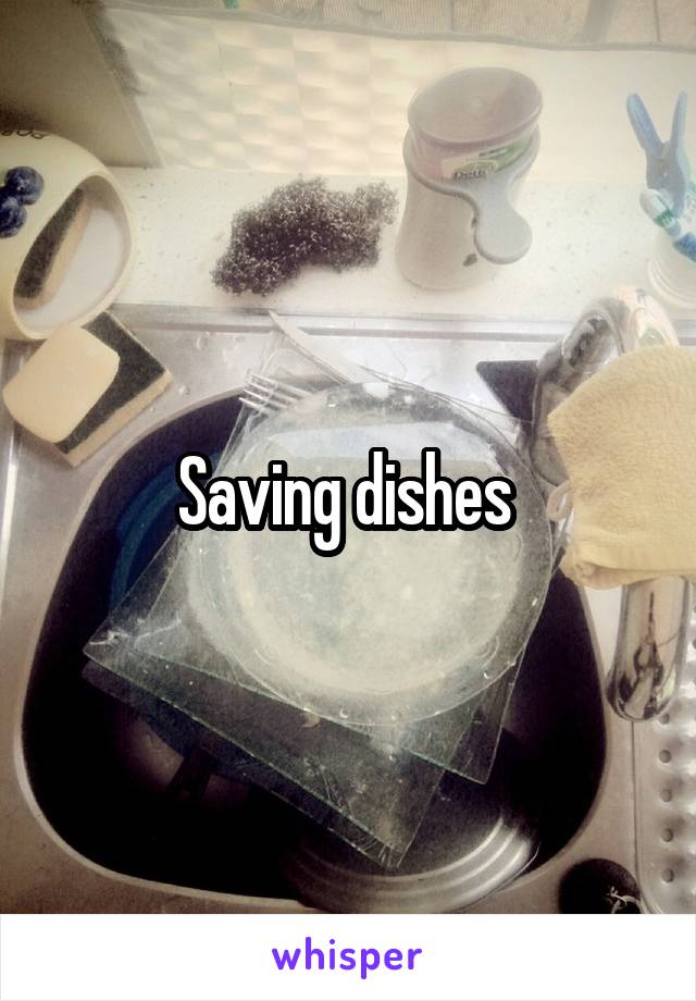 Saving dishes 