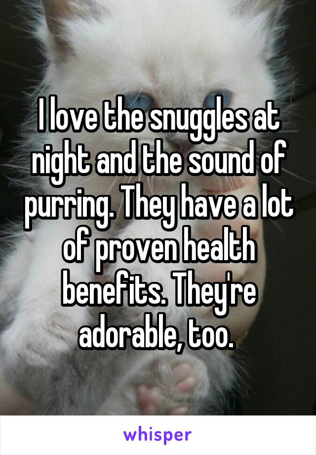 I love the snuggles at night and the sound of purring. They have a lot of proven health benefits. They're adorable, too. 