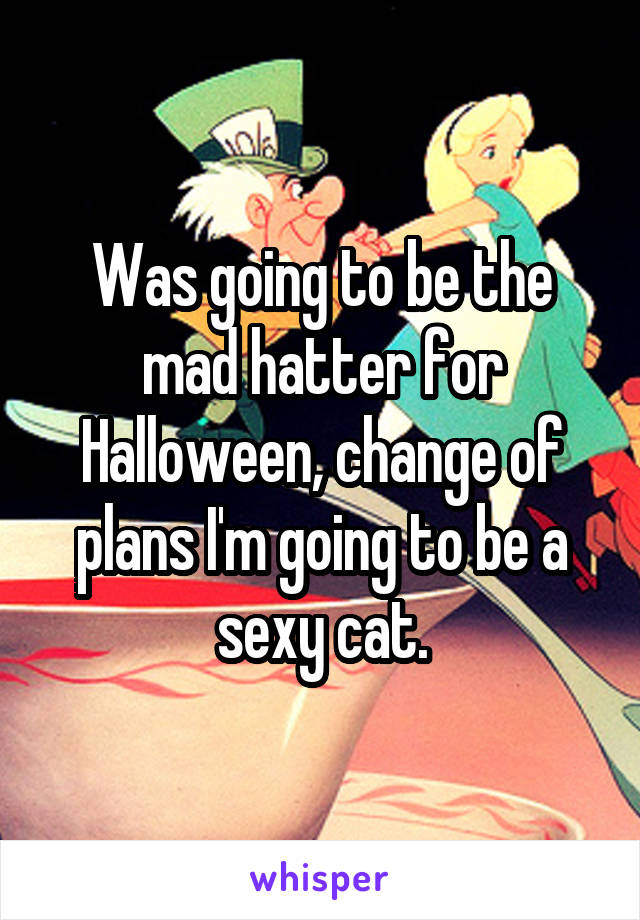 Was going to be the mad hatter for Halloween, change of plans I'm going to be a sexy cat.