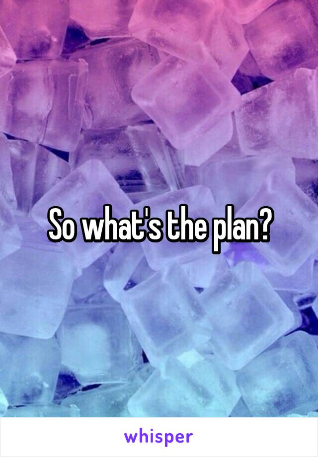So what's the plan?