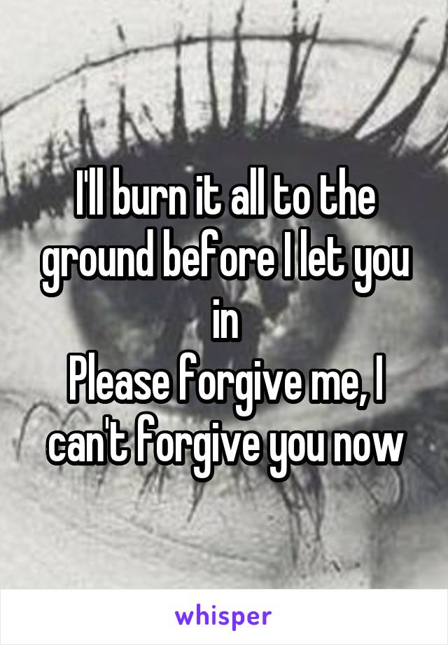 I'll burn it all to the ground before I let you in
Please forgive me, I can't forgive you now