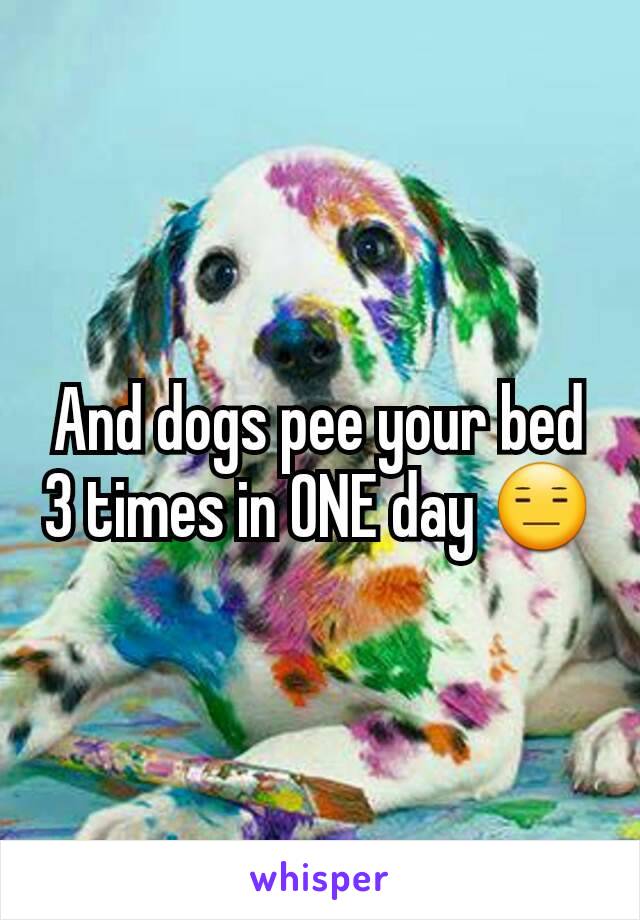 And dogs pee your bed 3 times in ONE day 😑