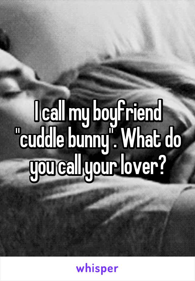 I call my boyfriend "cuddle bunny". What do you call your lover?