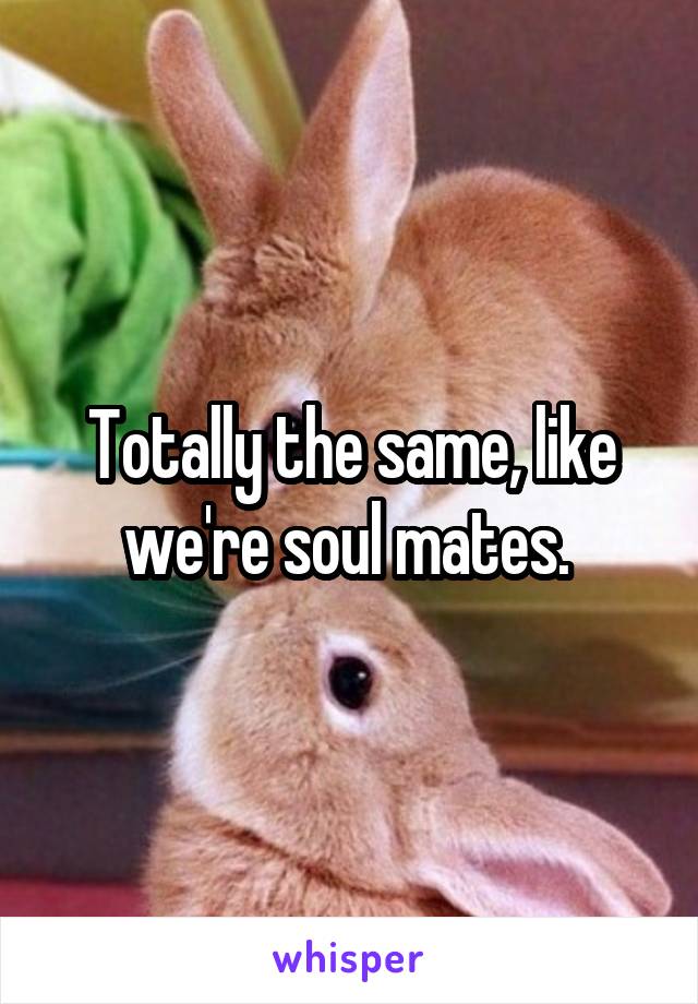Totally the same, like we're soul mates. 