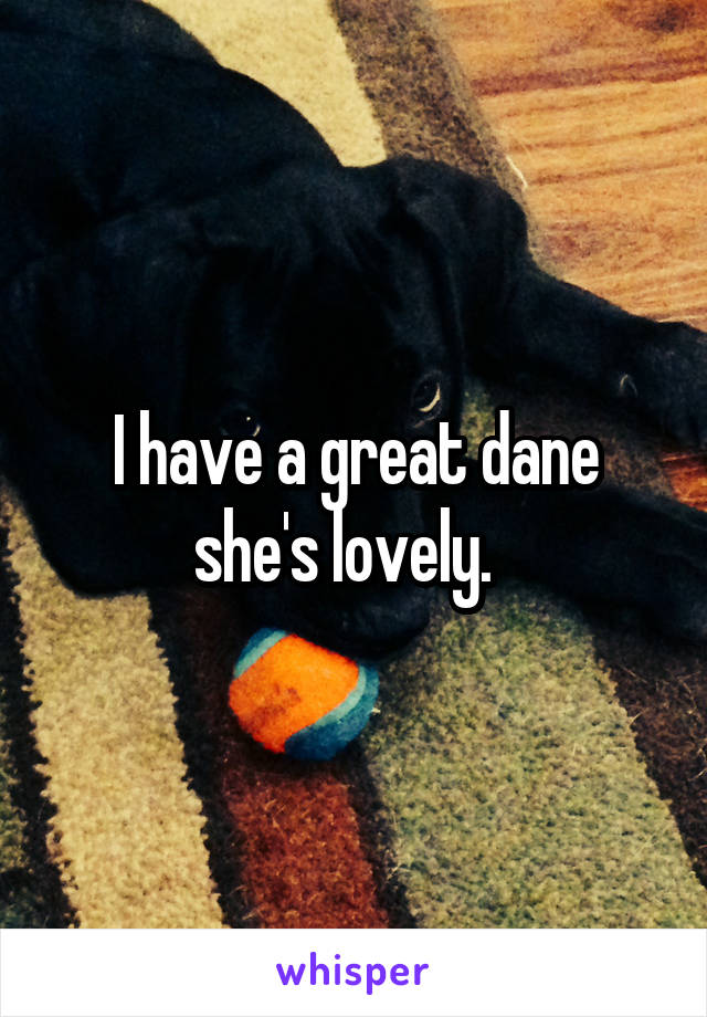 I have a great dane she's lovely.  