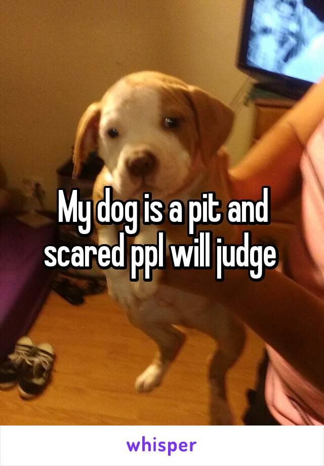 My dog is a pit and scared ppl will judge 