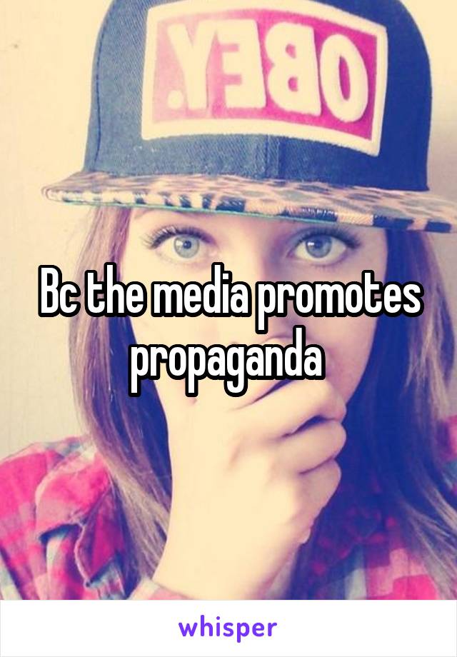 Bc the media promotes propaganda 