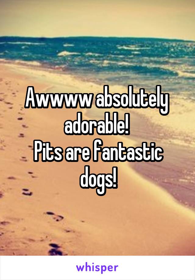 Awwww absolutely  adorable! 
Pits are fantastic dogs!