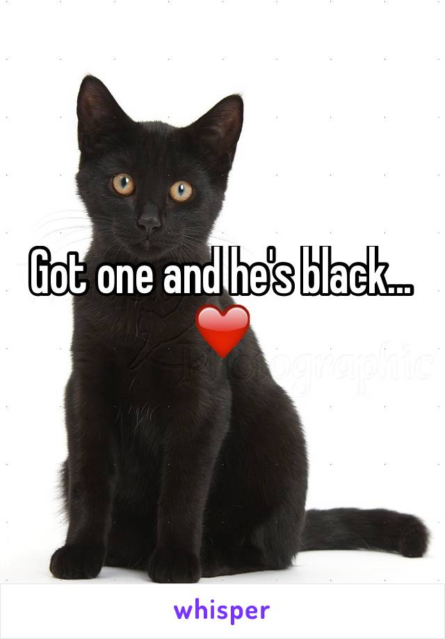 Got one and he's black... ❤️