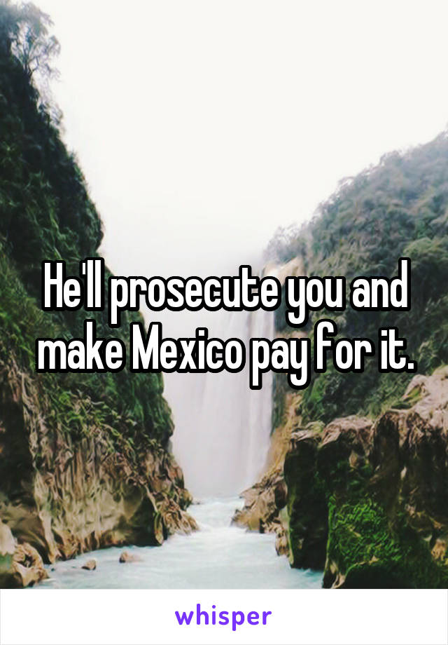 He'll prosecute you and make Mexico pay for it.
