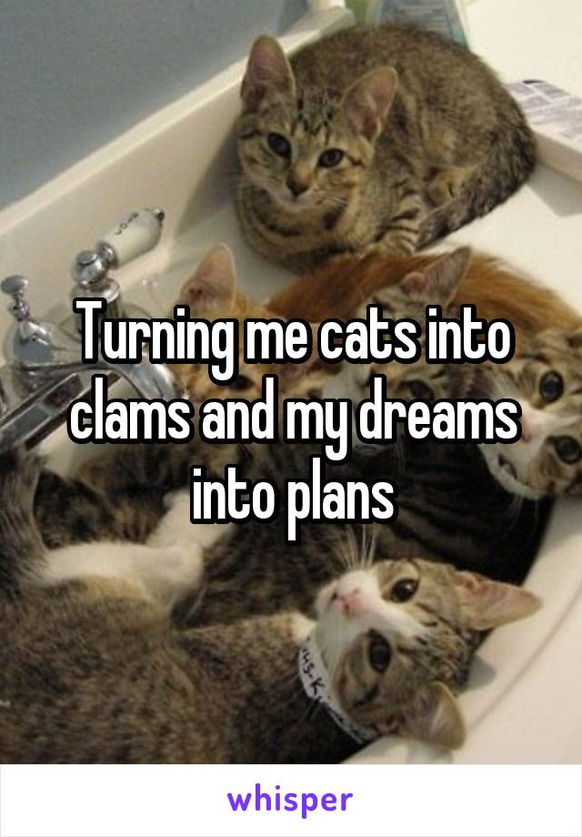 Turning me cats into clams and my dreams into plans