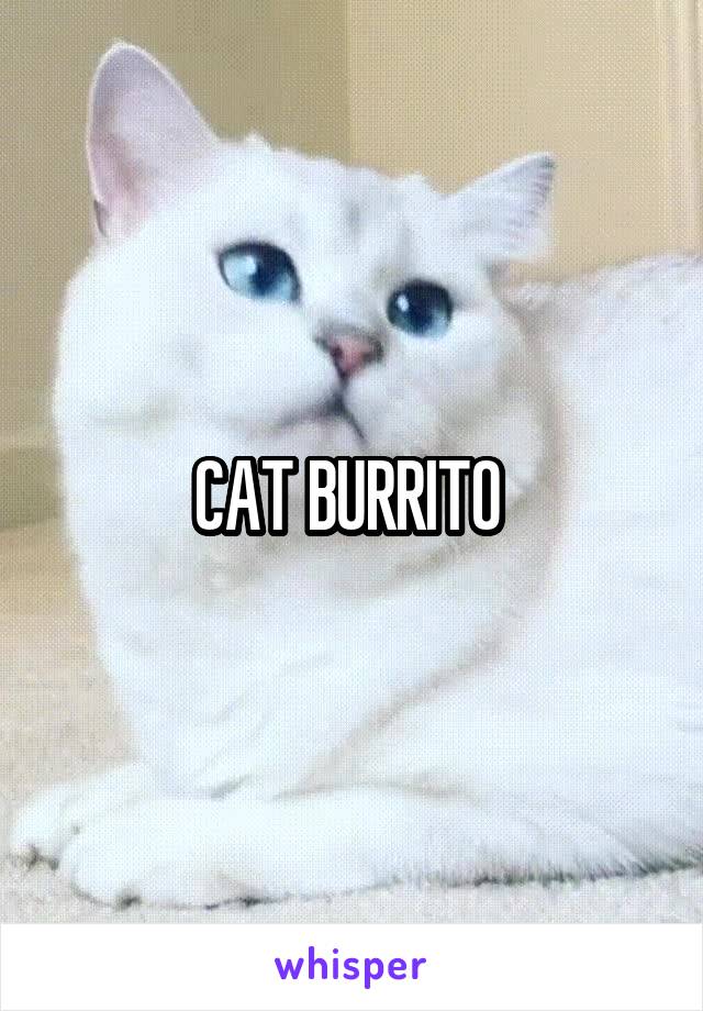 CAT BURRITO 