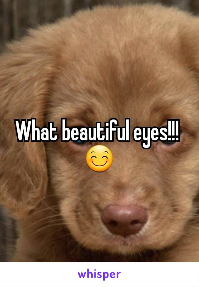 What beautiful eyes!!! 
😊