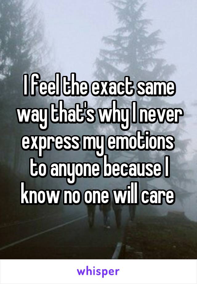 I feel the exact same way that's why I never express my emotions 
to anyone because I know no one will care 