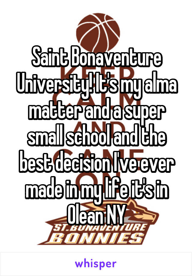 Saint Bonaventure University! It's my alma matter and a super small school and the best decision I've ever made in my life it's in Olean NY