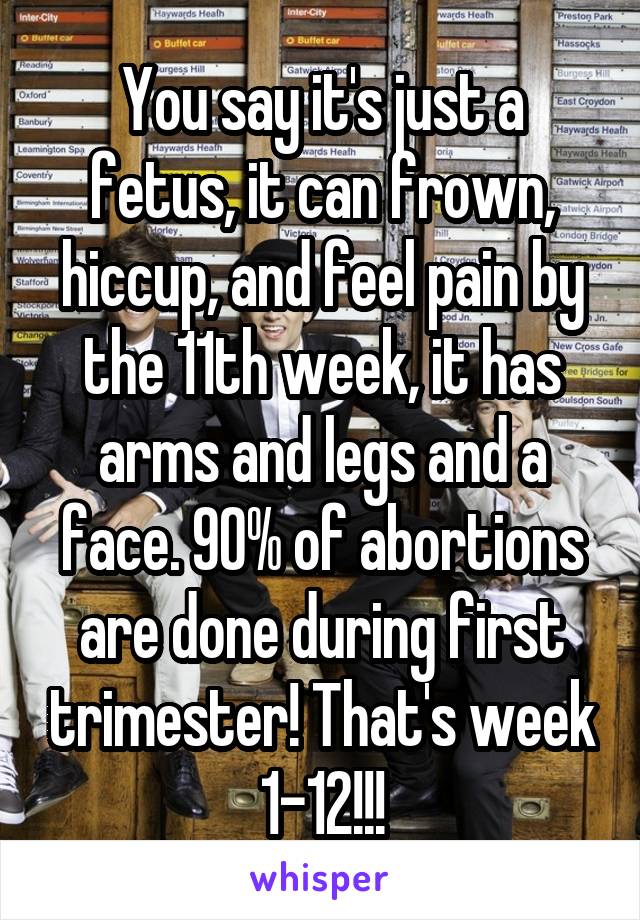 You say it's just a fetus, it can frown, hiccup, and feel pain by the 11th week, it has arms and legs and a face. 90% of abortions are done during first trimester! That's week 1-12!!!