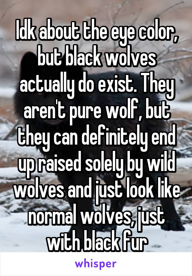 Idk about the eye color, but black wolves actually do exist. They aren't pure wolf, but they can definitely end up raised solely by wild wolves and just look like normal wolves, just with black fur