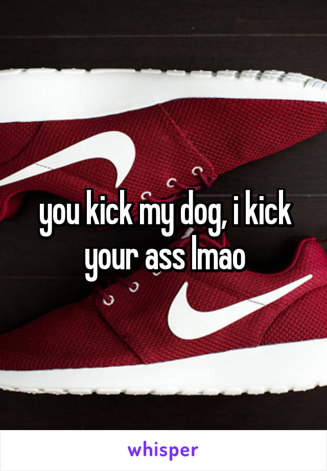 you kick my dog, i kick your ass lmao