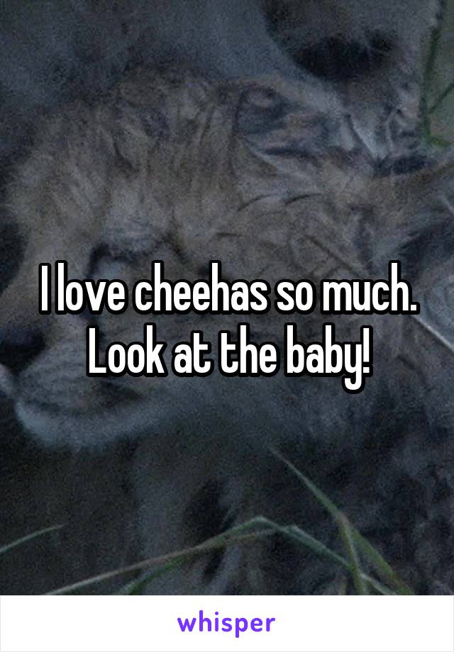 I love cheehas so much. Look at the baby!
