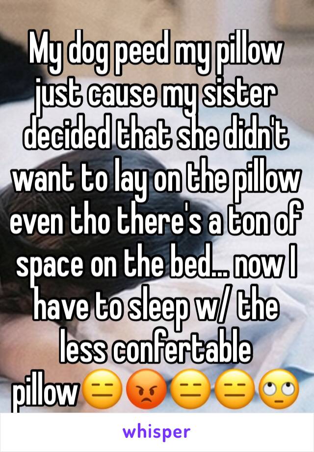 My dog peed my pillow just cause my sister decided that she didn't want to lay on the pillow even tho there's a ton of space on the bed... now I have to sleep w/ the less confertable pillow😑😡😑😑🙄