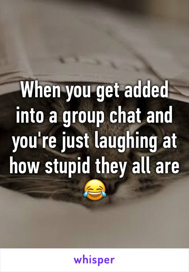 When you get added into a group chat and you're just laughing at how stupid they all are 😂