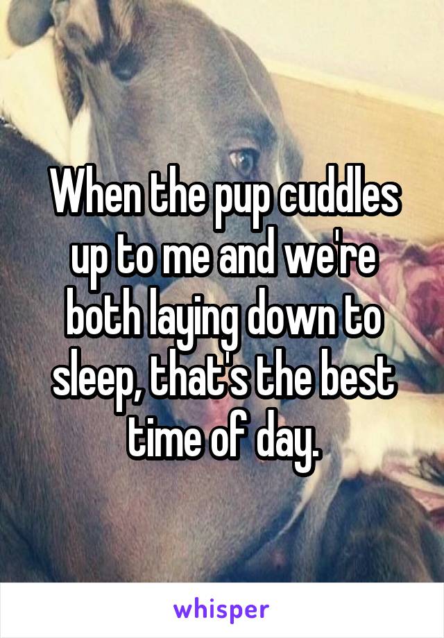 When the pup cuddles up to me and we're both laying down to sleep, that's the best
time of day.