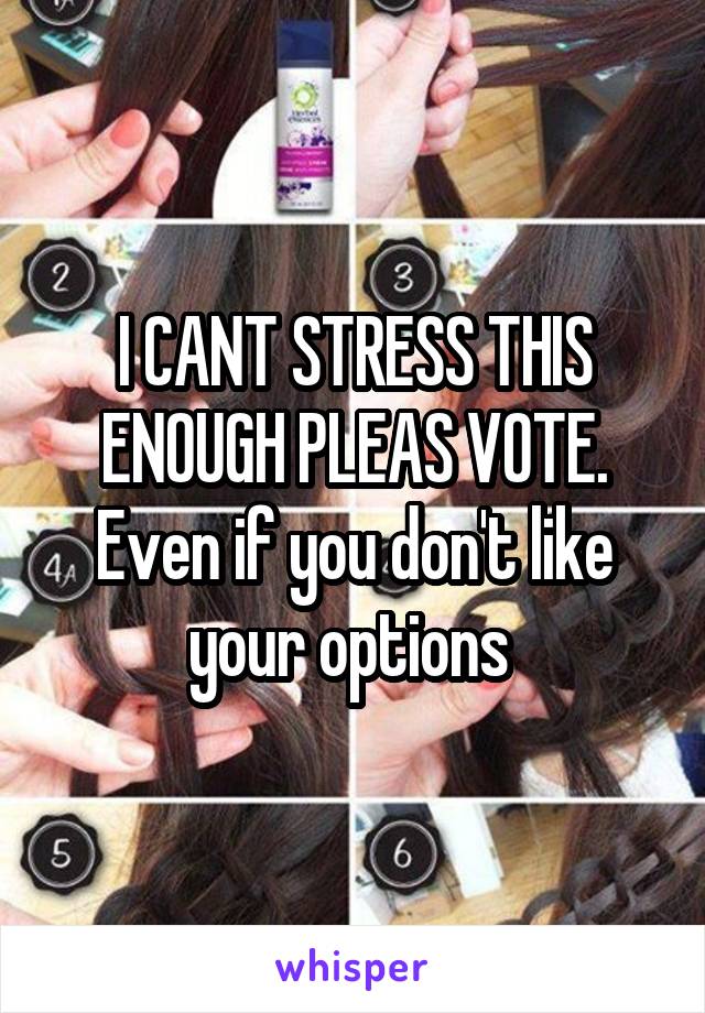 I CANT STRESS THIS ENOUGH PLEAS VOTE. Even if you don't like your options 