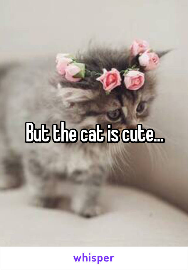 But the cat is cute...