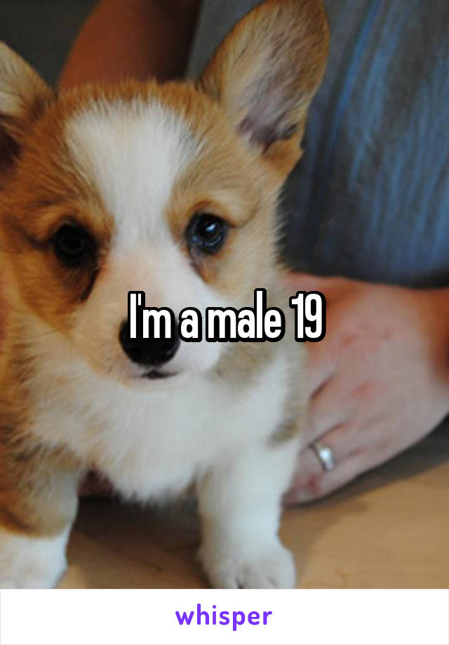 I'm a male 19
