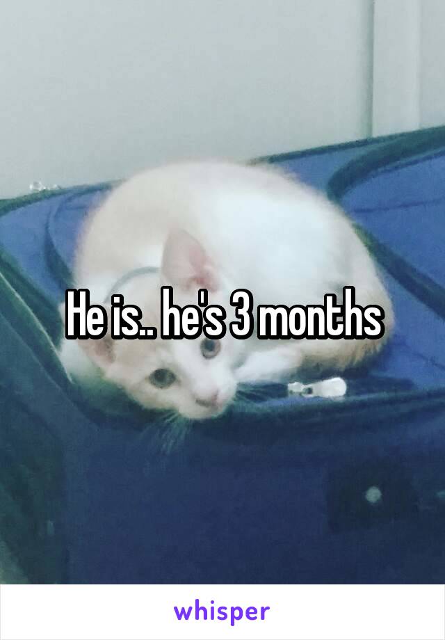 He is.. he's 3 months