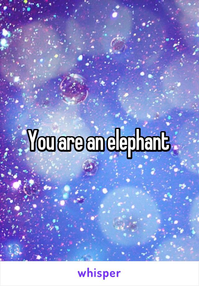 You are an elephant 